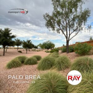 Palo Brea Maricopa Arizona, Palo Brea real estate