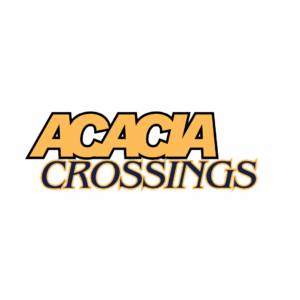 Selling home Acacia Crossings Farms Maricopa Arizona