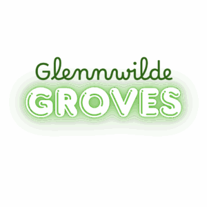 Selling home Glennwilde Maricopa AZ