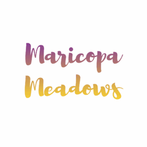 Selling home Maricopa Meadows Maricopa AZ